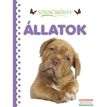 Szivacskönyv - Állatok 