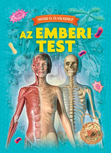 Olvasd el és válaszolj - Az emberi test 