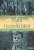 Somogyi Tóth Sándor - Gabi / Gyerektükör - két kisregény
