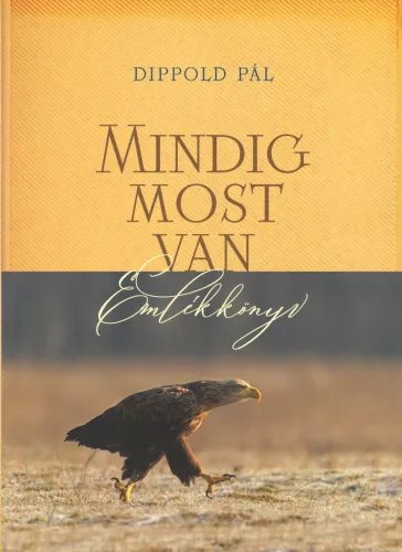 Dippold Pál - Mindig most van - emlékkönyv
