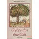 Andrew Weil - Gyógyulás önerőből
