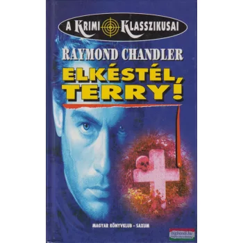 Raymond Chandler - Elkéstél, Terry!