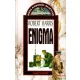 Robert Harris - Enigma