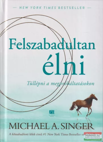 Michael A. Singer - Felszabadultan élni