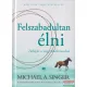Michael A. Singer - Felszabadultan élni