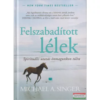 Michael A. Singer - Felszabadított lélek