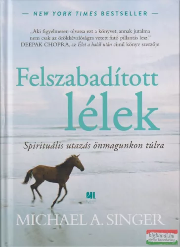 Michael A. Singer - Felszabadított lélek