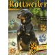 Rottweiler - Gazdiképző kisokos