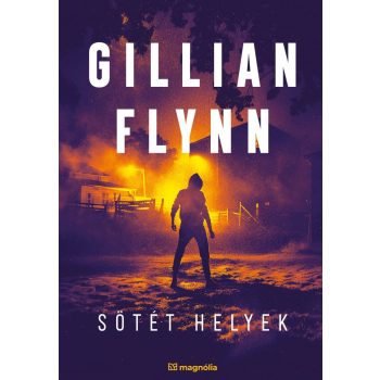 Gillian Flynn - Sötét helyek