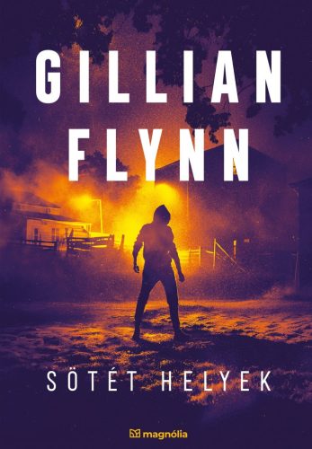 Gillian Flynn - Sötét helyek