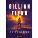 Gillian Flynn - Sötét helyek