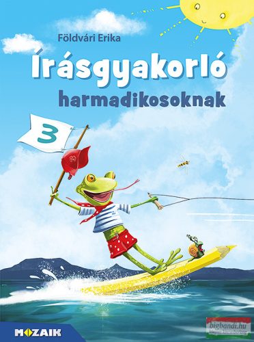 Írásgyakorló harmadikosoknak - MS-1677