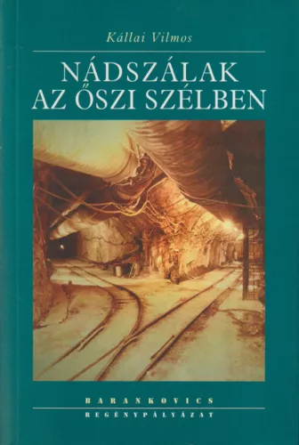 Kállai Vilmos - Nádszálak az őszi szélben