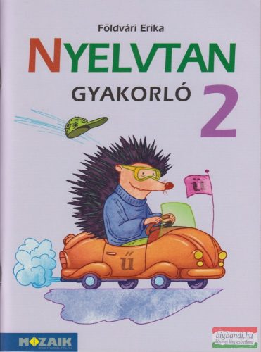 Földvári Erika - Nyelvtan gyakorló 2. - MS-1627 