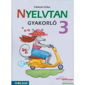 Földvári Erika - Nyelvtan gyakorló 3. - MS-1638U