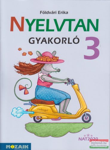 Földvári Erika - Nyelvtan gyakorló 3. - MS-1638U