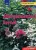 Brigitte Klemme - Allergiamentes kertek