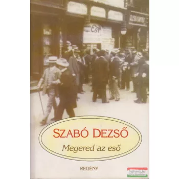 Szabó Dezső - Megered az eső