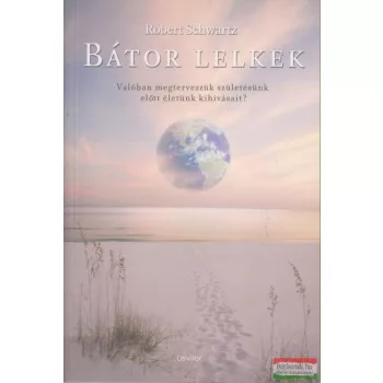 Robert Schwartz - Bátor lelkek