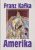 Franz Kafka - Amerika