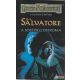 R.A. Salvatore - A sötétség ostroma