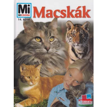 Rainer Köthe - Macskák