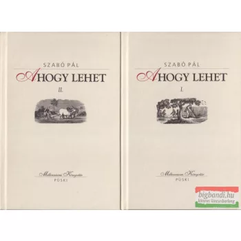 Szabó Pál - Ahogy ​lehet I-II.