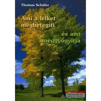   Thomas Schäfer - Ami a lelket megbetegíti és ami meggyógyítja