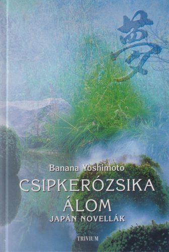 Banana Yoshimoto - Csipkerózsika-álom