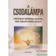 Keith Ellis - A csodalámpa - Célkitűzési könyv azoknak, akik utálnak célokat kitűzni