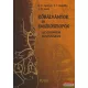 N. V. Leontyev - V. F. Kapeljko - J. N. Jeszin - Kőbálványok és emlékoszlopok az okunyevi kultúrában 