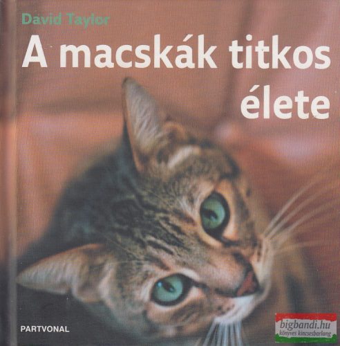 David Taylor - A macskák titkos élete