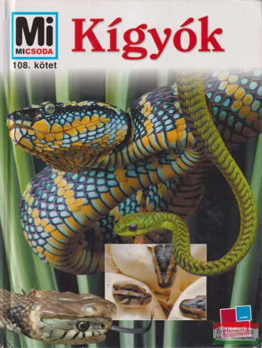Rozgonyi Sarolta - Kígyók 