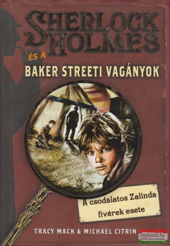 Tracy Mack, Michael Citrin - Sherlock Holmes és a Baker Streeti vagányok I.