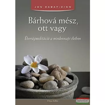 Jon Kabat-Zinn - Bárhová mész, ott vagy 