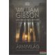 William Gibson - Árnyvilág