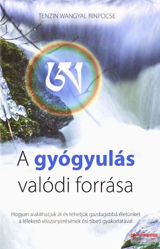 Tenzin Wangyal Rinpocse - A gyógyulás valódi forrása