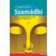 Szvámi Ráma - Szamádhi - A bölcsesség legfelsőbb szintje, A valóság megpillantása