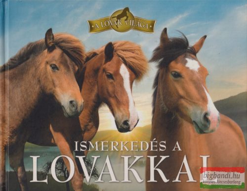 Bagoly Ilona - Ismerkedés a lovakkal