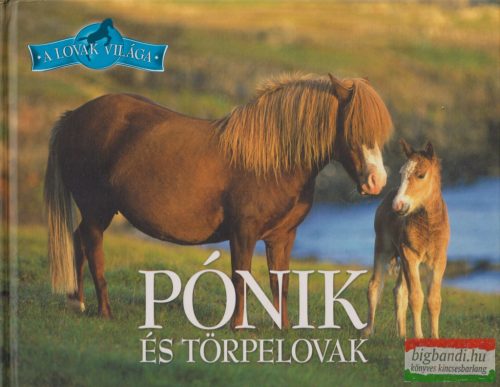 Bagoly Ilona - Pónik és törpelovak