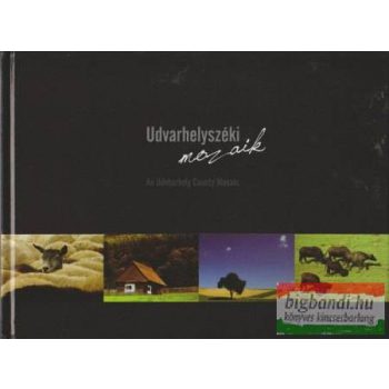 Udvarhelyszéki mozaik