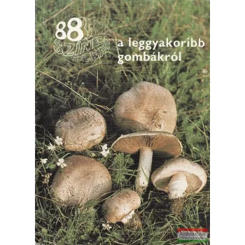 88 színes oldal a leggyakoribb gombákról