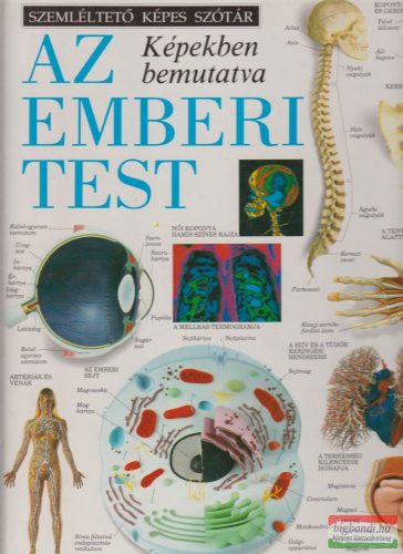 Az emberi test - képekben bemutatva