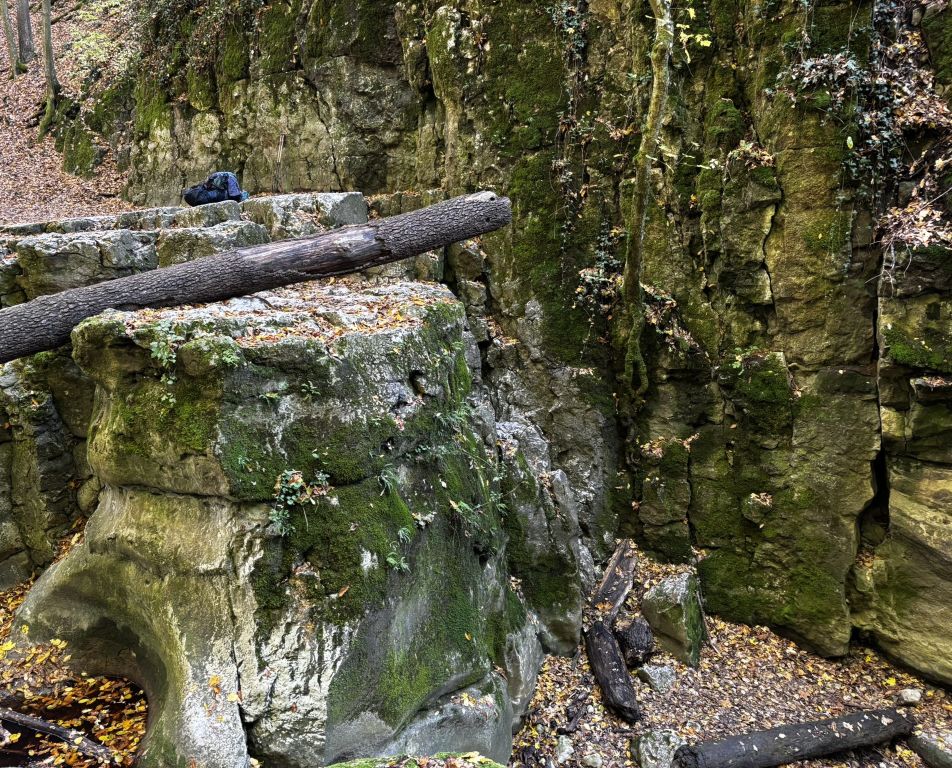 Kéktúra és a Bakony