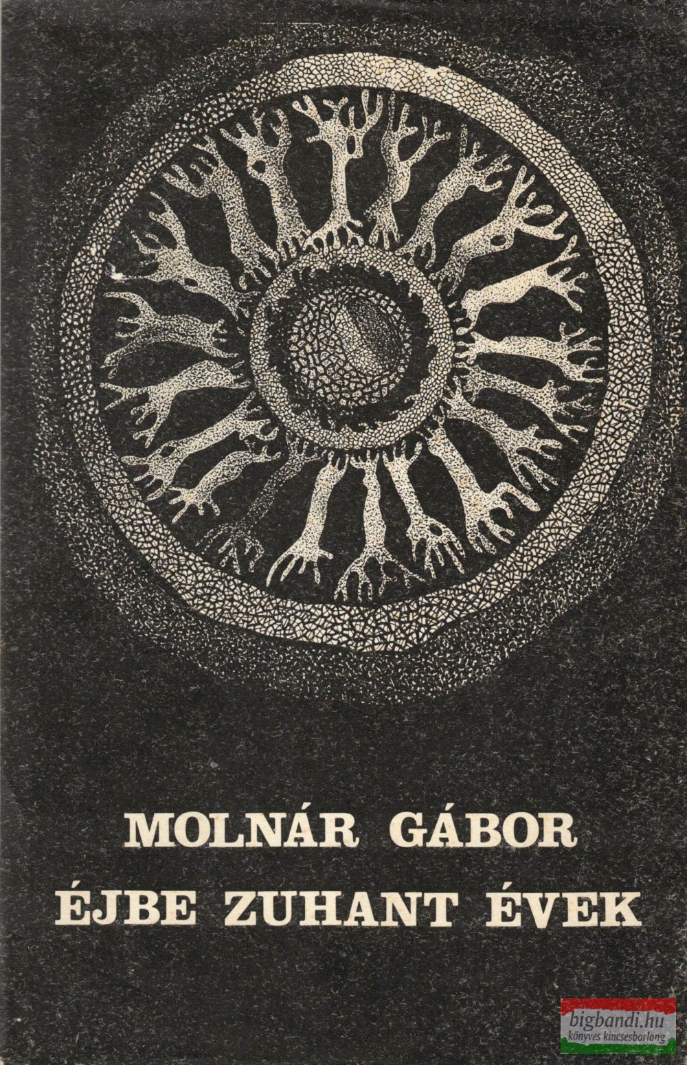 Molnár Gábor - Éjbe zuhant évek