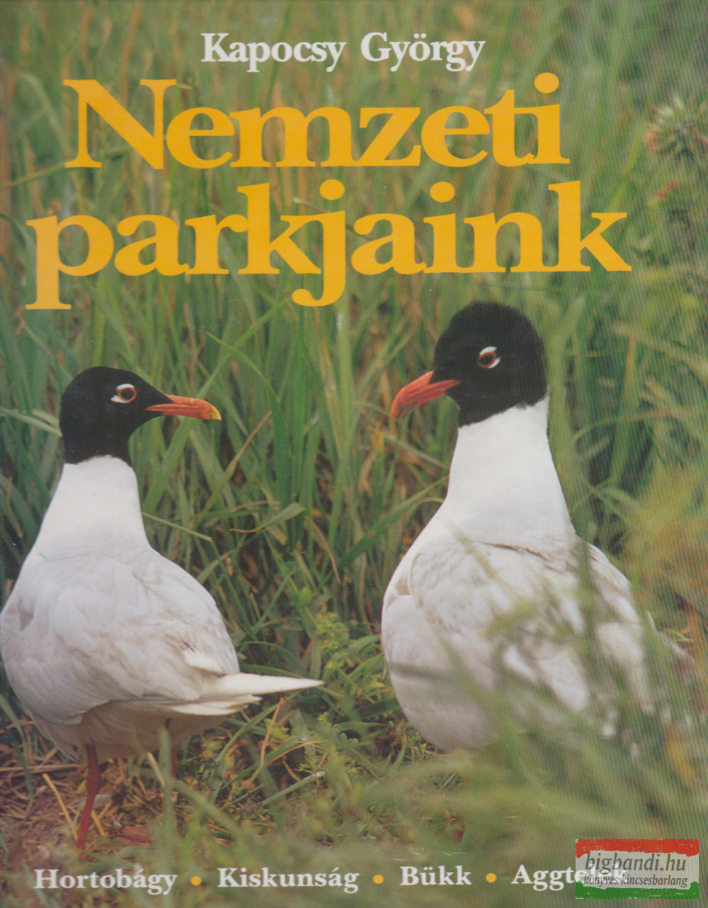 Kapocsy György - Nemzeti parkjaink