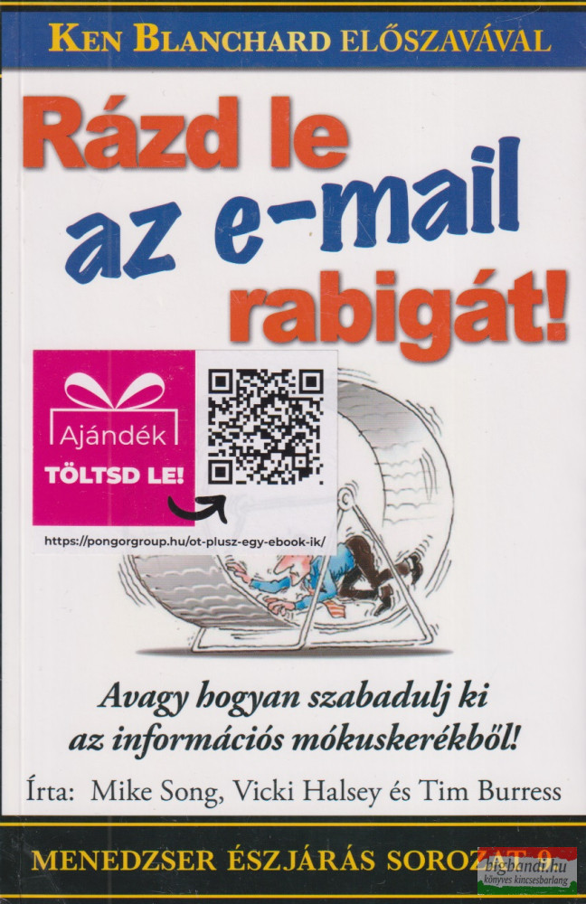 Mike Song, Vicki Halsey, Tim Burress - Rázd le az e-mail rabigát!