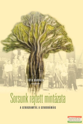Tóth Borbála - Sorsunk rejtett mintázata - A genogramtól a genodrámáig
