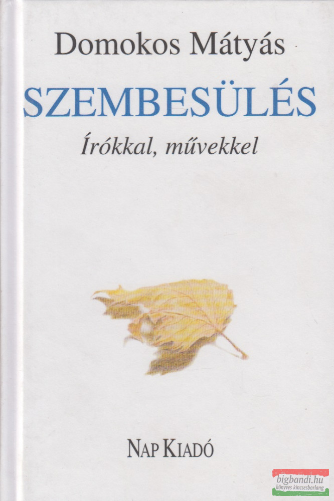 Domokos Mátyás - Szembesülés